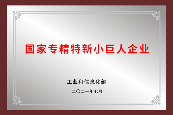 專精特新小巨人